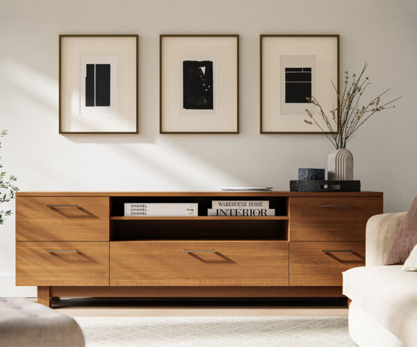 Destiny TV Stand Collection